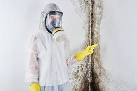 Best Attic Mold Removal  in Oak Grove, MS